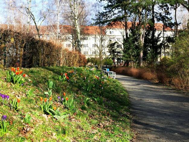 Wohnung zum Kauf provisionsfrei 298.000 € 2,5 Zimmer 72 m² 1. Geschoss Westend Berlin 14052