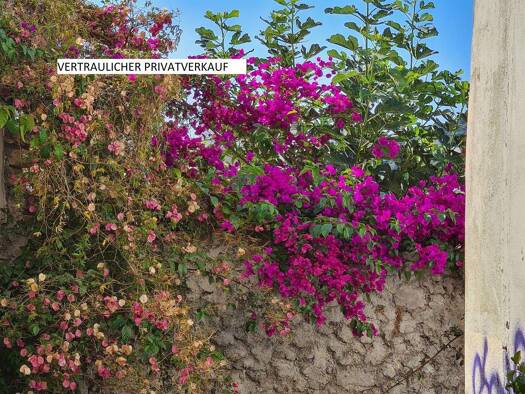 Mehrfamilienhaus zum Kauf provisionsfrei 1.650.000 € 1 Zimmer 500 m² 794 m² Grundstück Töttleben ERFURT 99098