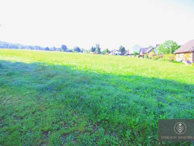 Grundstück zum Kauf 70.000 € 1.000 m² Grundstück Lengenfeld Lengenfeld 08485