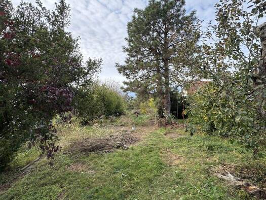 Grundstück zum Kauf 135.000 € 1.044 m² Grundstück frei ab 01.01.2026 Wiedemar 04509