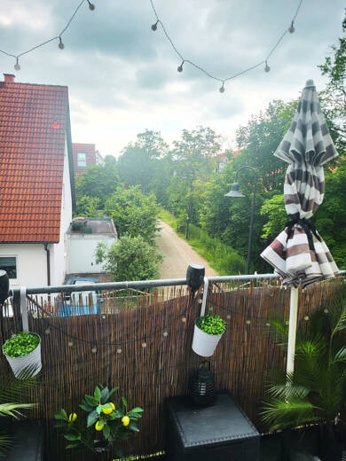 Wohnung zum Kauf als Kapitalanlage geeignet 219.000 € 3 Zimmer 72 m² Weisendorf Weisendorf 91085