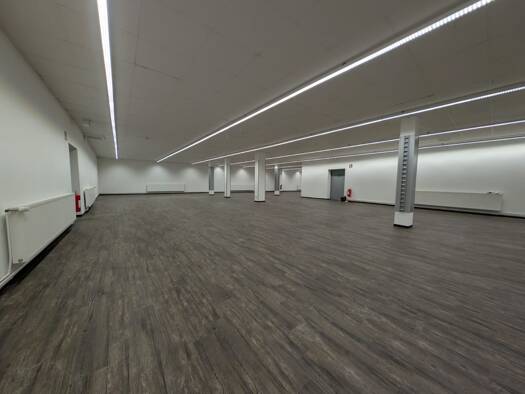 Verkaufsfläche zur Miete 9 € 450 m² Verkaufsfläche Bad Oldesloe 23843
