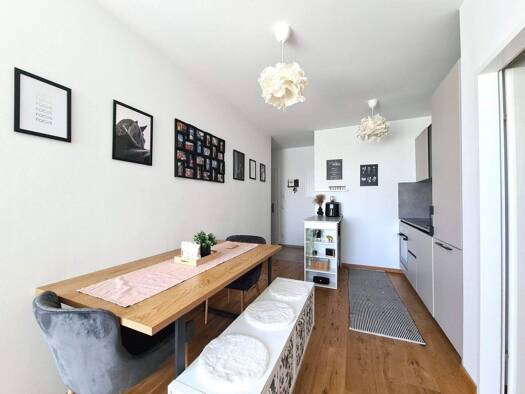 Wohnung zur Miete 640 € 2 Zimmer 46 m² 2. Geschoss Pitten 2823