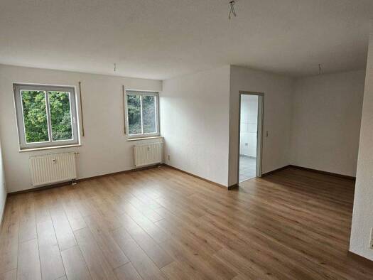 Wohnung zur Miete 290 € 2 Zimmer 56 m² 1. Geschoss Reichenbach 08468
