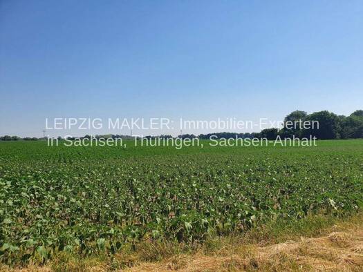 Land-/Forstwirtschaft zum Kauf 1.300.000 € 493.537 m² Grundstück Letschin