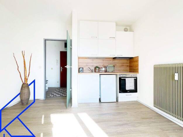 Wohnung zur Miete 490 € 28,1 m² Villacher Vorstadt Klagenfurt(Stadt) 9020