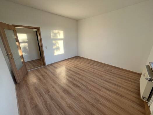 Wohnung zur Miete 270 € 1,5 Zimmer 41 m² Geschoss 2/3 frei ab sofort Trebe 2 a Eisenberg Eisenberg 07607