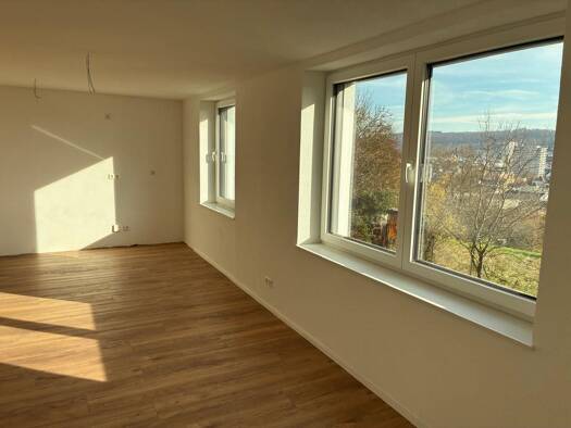 Wohnung zur Miete 1.615 € 3,5 Zimmer 95 m² frei ab sofort Tüllingen Lörrach 79539