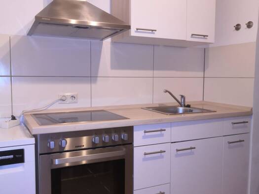 Wohnung zur Miete 450 € 1 Zimmer 39 m² Geschoss 2/5 frei ab sofort Lichtenhof Nürnberg 90459