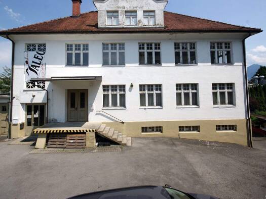 Lagerhalle zur Miete 6,50 € 110 m² Lagerfläche Lustenau 6890