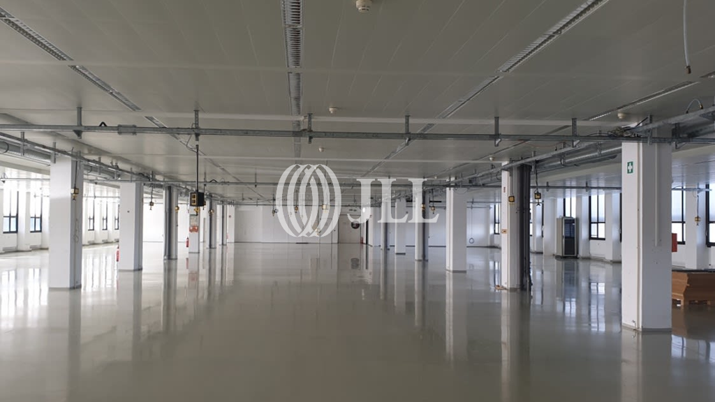 Lagerhalle zur Miete provisionsfrei 11.591 m² Lagerfläche teilbar ab 500 m² Thalk.Obersendl.-Forsten-Fürstenr.-Solln München 81379