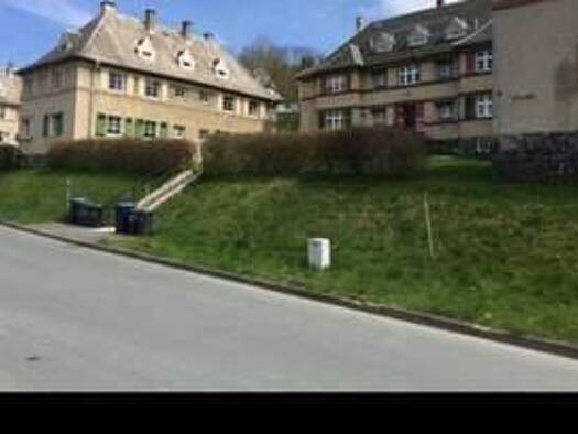 Wohnung zur Miete 226 € 2 Zimmer 49,8 m² Adorf Adorf 08626