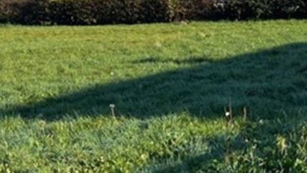 Grundstück zum Kauf provisionsfrei 130.000 € 370 m² Grundstück Merklinde Castrop-Rauxel 44577