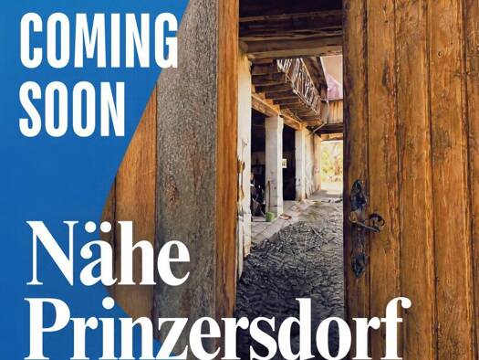 Haus zum Kauf 150.000 € 8 Zimmer 267 m² 2.236 m² Grundstück Hafnerbach 3386