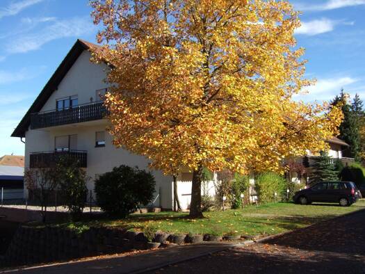 Wohnung zum Kauf 57.000 € 1 Zimmer 29 m² Geschoss 1/2 frei ab sofort Wildbader Straße 1 Dobel 75335