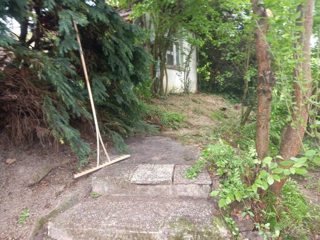 WG-Zimmer zur Miete auf Zeit 350 € 120 m² 1. Geschoss Bammental Bammental 69245