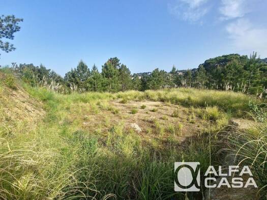 Acker-/Waldstück zum Kauf 65.000 € Lloret de Mar 17310