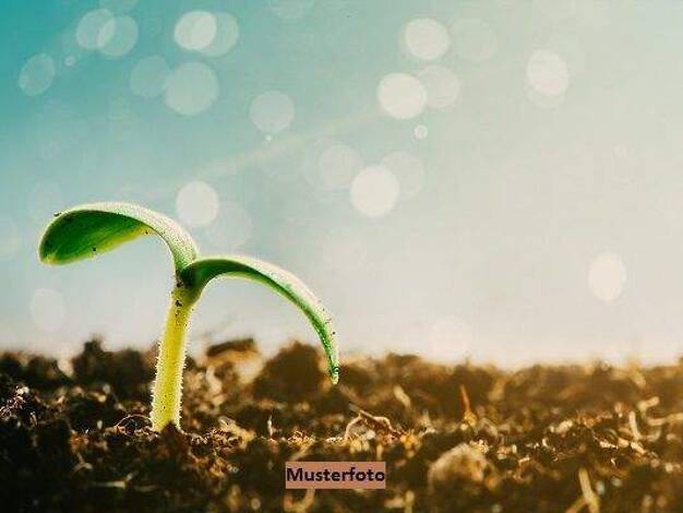 Land-/Forstwirtschaft zum Kauf 122.000 € 15.568 m² Grundstück Klein Schönhagen Gumtow 16866