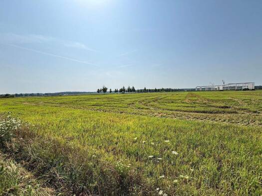 Grundstück zum Kauf provisionsfrei 24.000 m² Grundstück Staffelde Kremmen 16766