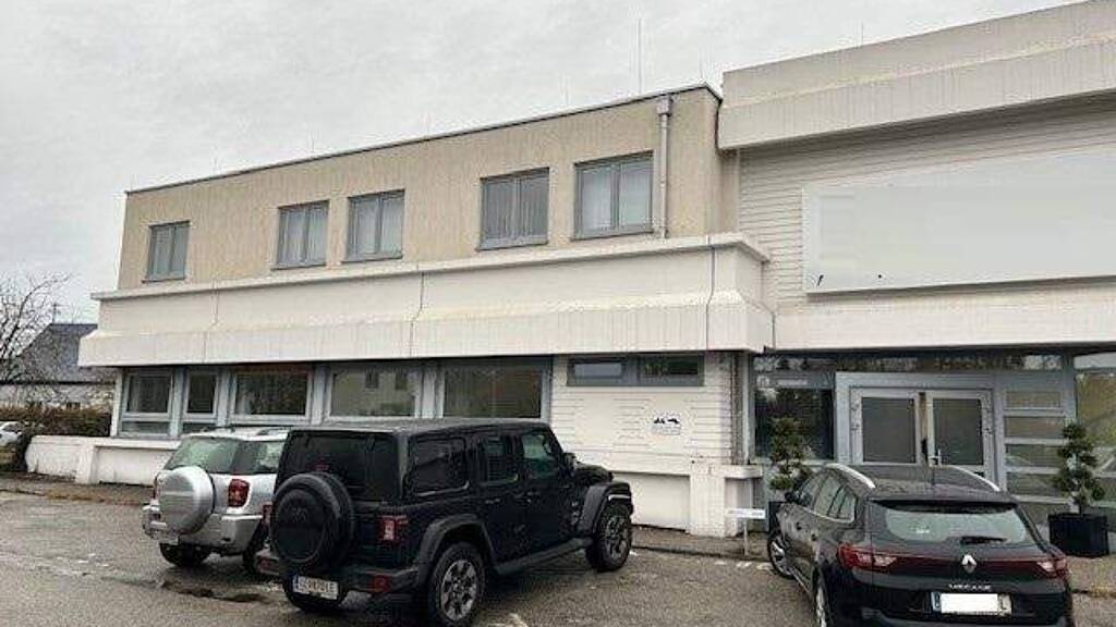 Produktionshalle zur Miete 972 m² Lagerfläche Pasching 4061