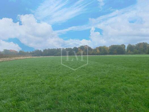 Landwirtschaftliche Fläche zum Kauf 55.000 € 5.671 m² Grundstück Meckenheim 53340