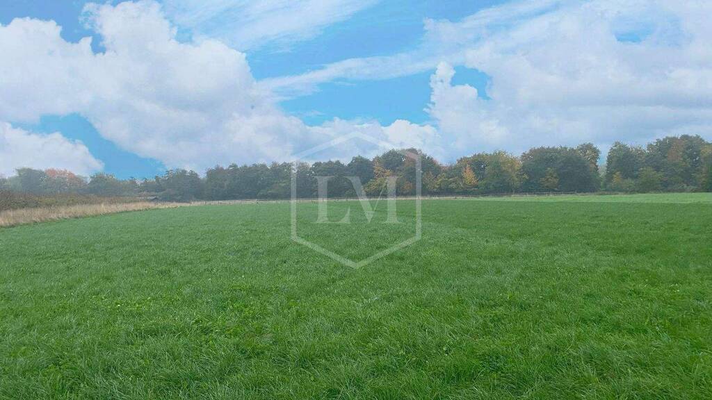 Landwirtschaftliche Fläche zum Kauf 55.000 € 5.671 m² Grundstück Meckenheim 53340