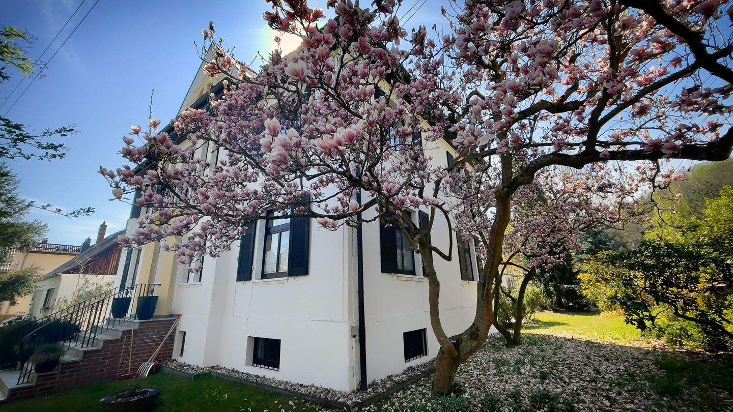 Immobilie in Bad Blankenburg - Exkl. Landhaus (Villa) mit Seele, Charme & Lage ! - Bild 2