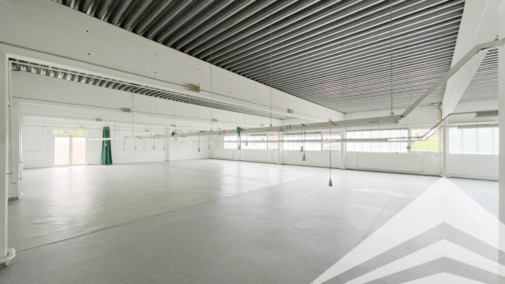 Produktionshalle zum Kauf 635.000 € 336 m² Lagerfläche Nordkammstraße 2 Unterweißenbach 4273