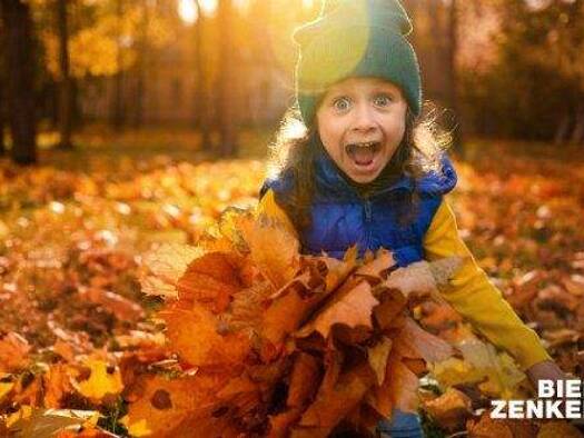 Einfamilienhaus zum Kauf 799.000 € 5 Zimmer 140 m² 600 m² Grundstück Cotta Dresden 01169