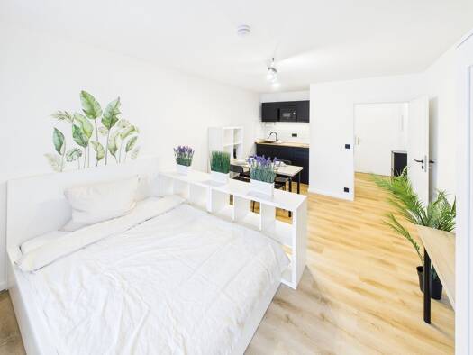 Wohnung zur Miete 900 € 1 Zimmer 29 m² 2. Geschoss frei ab 01.11.2026 Schneckenburgstraße 3 a Petershausen Konstanz 78467