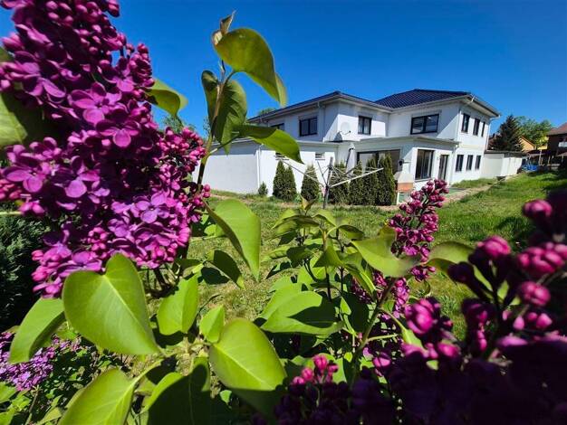 Villa zum Kauf 1.275.000 € 8 Zimmer 380 m² 1.400 m² Grundstück frei ab sofort Blankenfelde Blankenfelde b Zossen b Berlin 15827