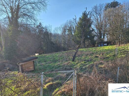 Grundstück zum Kauf 250.000 € 3.100 m² Grundstück Prälat-Langhauser-Straße Blieskastel Blieskastel 66440