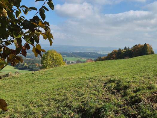 Einfamilienhaus zum Kauf 799.000 € 5 Zimmer 110 m² 1.800 m² Grundstück frei ab sofort Buchenberg 87474