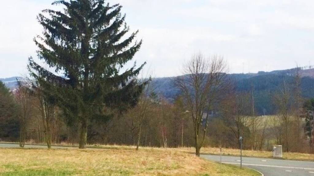 Grundstück zum Kauf 19.200 € 600 m² Grundstück Lobenstein Bad Lobenstein 07356