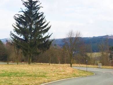 Grundstück zum Kauf 19.200 € 600 m² Grundstück Lobenstein Bad Lobenstein 07356