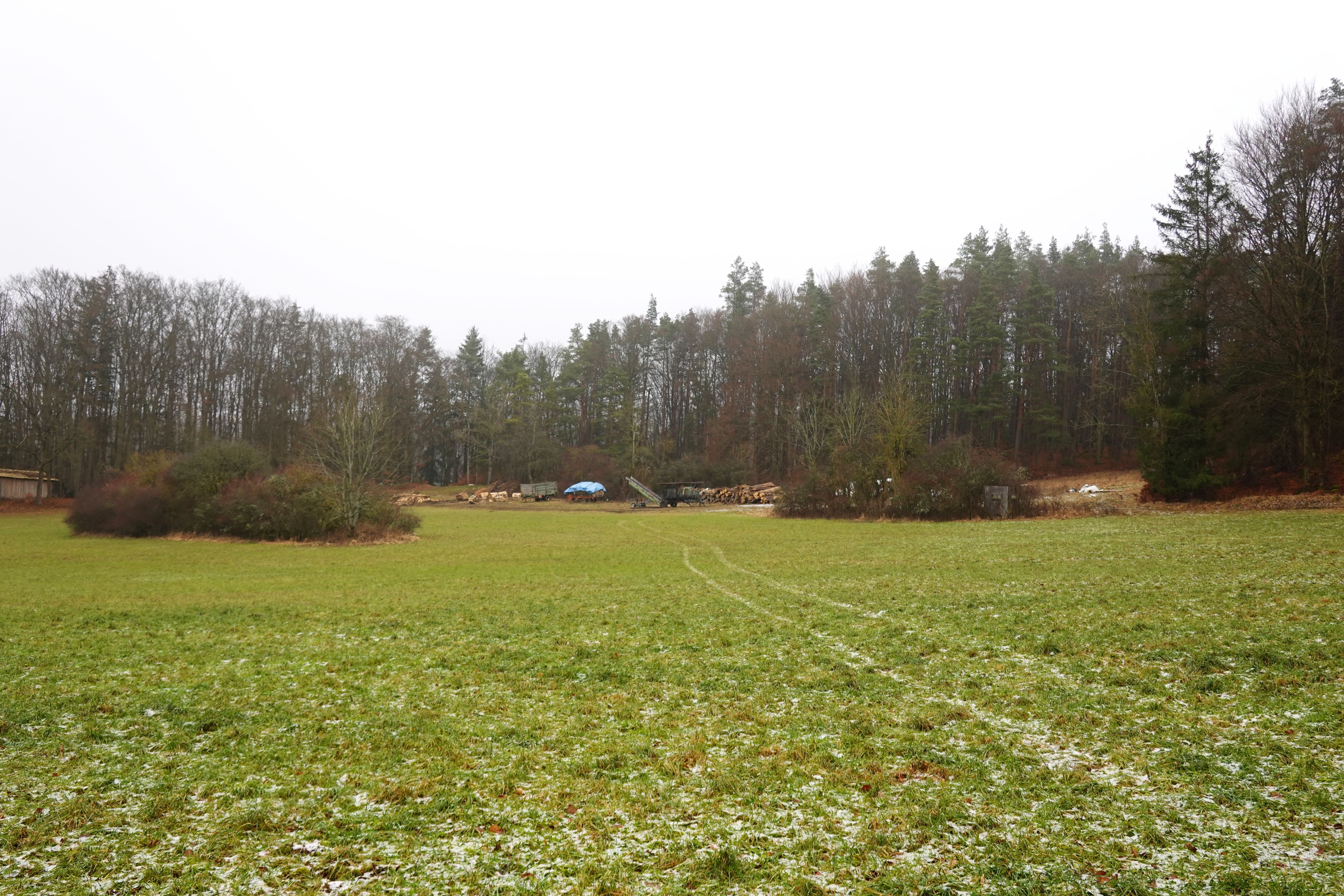 Landwirtschaftliche Fläche zum Kauf provisionsfrei 115.000 € 25.490 m²<br/>Grundstück Fischbrunn 1 Fischbrunn Pommelsbrunn 91224