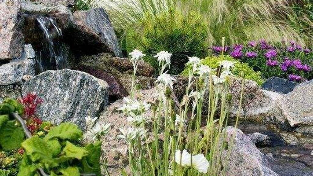 Grundstück zum Kauf 235.000 € 501 m² Grundstück Köngernheim 55278