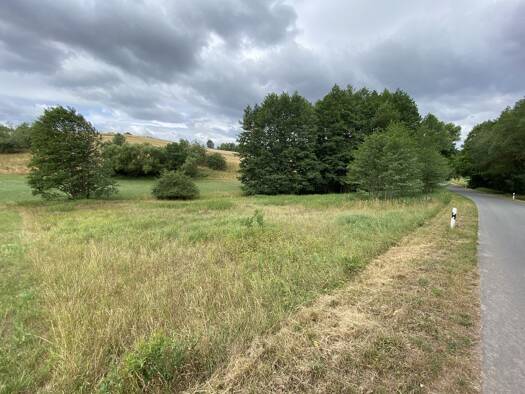 Land-/Forstwirtschaft zum Kauf 1.611 m² Grundstück Kotzenaurach Markt Erlbach / Kotzenaurach 91459
