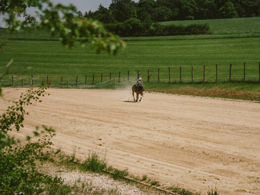 Reiterhof zum Kauf 5.490.000 € 80.920 m² Grundstück Schneckenbach Sinzing 93161