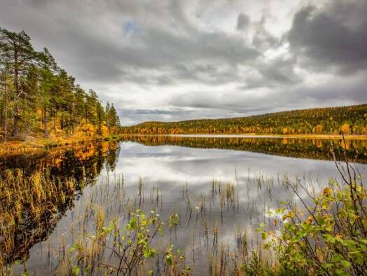 Land-/Forstwirtschaft zum Kauf 2.140.000 € 22.320.000 m² Kiruna kommun