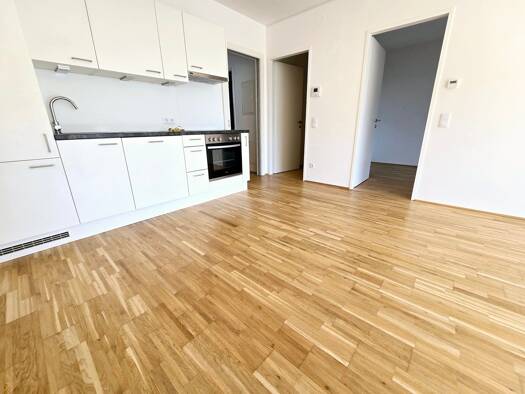 Wohnung zur Miete 654 € 2 Zimmer 59,5 m² 6. Geschoss Eggenberg Graz 8020
