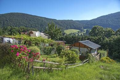 Wohnung zur Miete 409 € 3 Zimmer 66,3 m² 1. Geschoss frei ab 12.07.2025 Auf der Burg 117 Ohle Plettenberg 58840