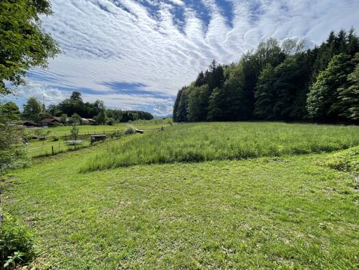 Grundstück zum Kauf 495.000 € 2.735 m² Grundstück St. Georgen im Attergau 4880