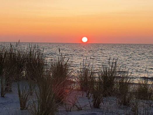 Wohnung zum Kauf provisionsfrei 285.000 € 2 Zimmer 56 m² Graal-Müritz 18181