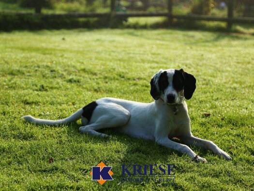 Grundstück zum Kauf - Erstbezug 1.200.000 € 713 m² Grundstück Unterpfaffenhofen Germering 82110