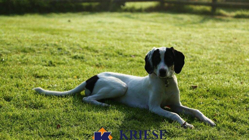 Grundstück zum Kauf - Erstbezug 1.200.000 € 713 m² Grundstück Unterpfaffenhofen Germering 82110