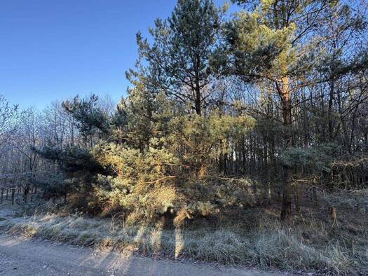 Land-/Forstwirtschaft zum Kauf 149.000 € 118.472 m² Grundstück Gülden Zernien 29499