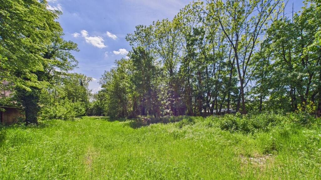 Grundstück zum Kauf 199.000 € 502 m² Grundstück Neunkirchen 2620