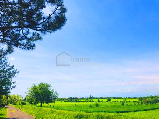 Grundstück zum Kauf 164.000 € 469 m² Grundstück Breitenbrunn am Neusiedler See 7091