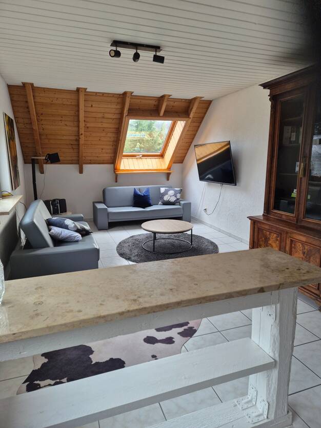 Wohnung zur Miete Wohnen auf Zeit 1.460 € 2 Zimmer 60 m² frei ab 01.07.2025 Friedingen 84 Singen (Hohentwiel) 78224